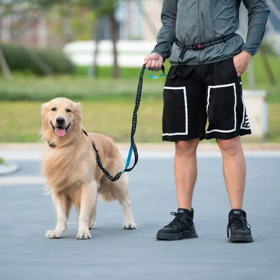 Hands Free Running Lead