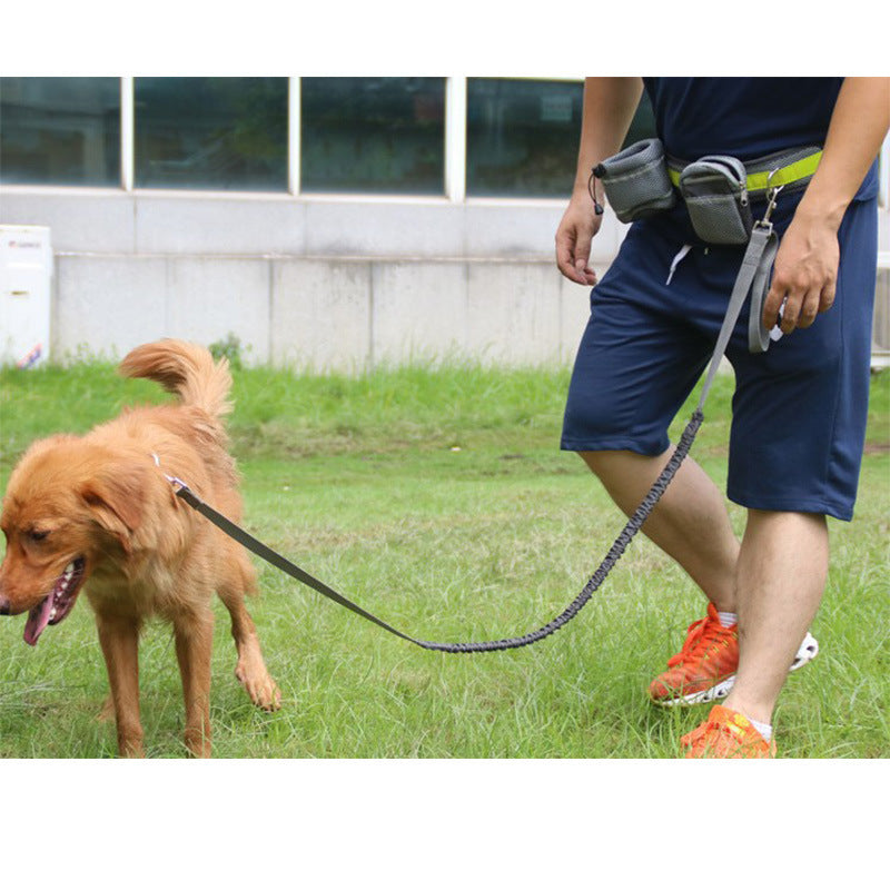 Hands Free Running Lead