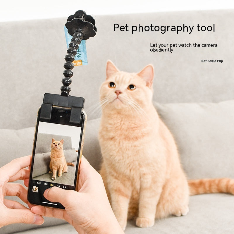 Snap the Paw-fect Shot: Selfie Stick with Treat Holder!