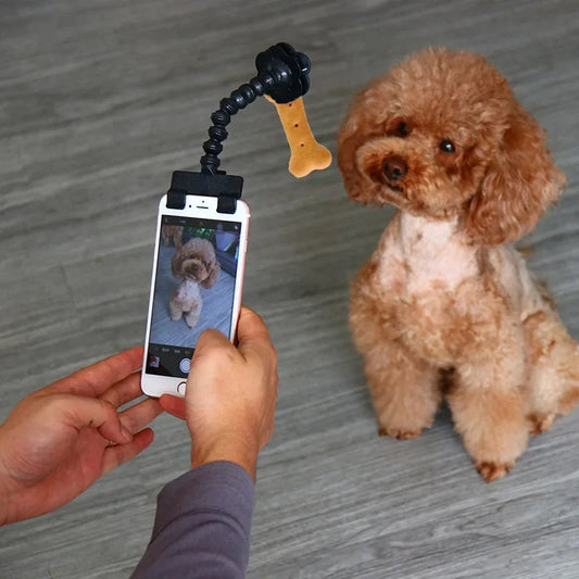 Snap the Paw-fect Shot: Selfie Stick with Treat Holder!