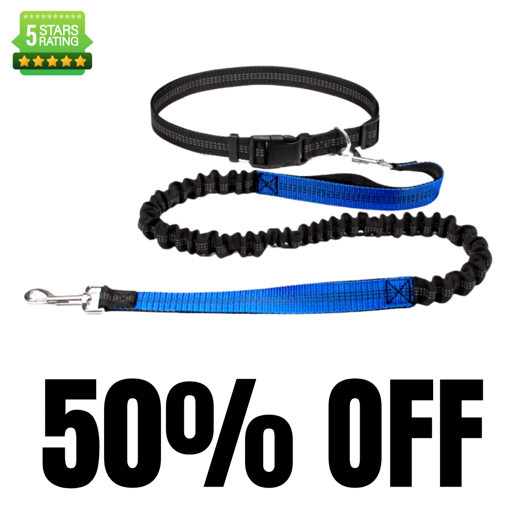 Hands Free Running Lead