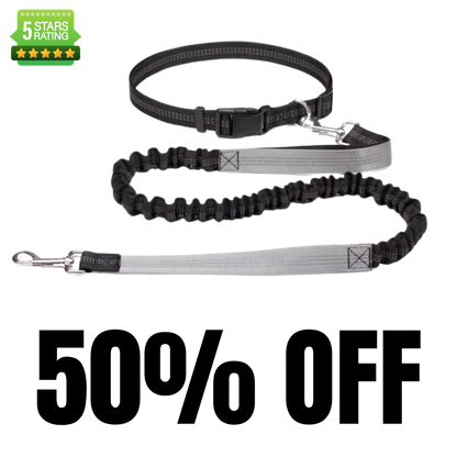 Hands Free Running Lead