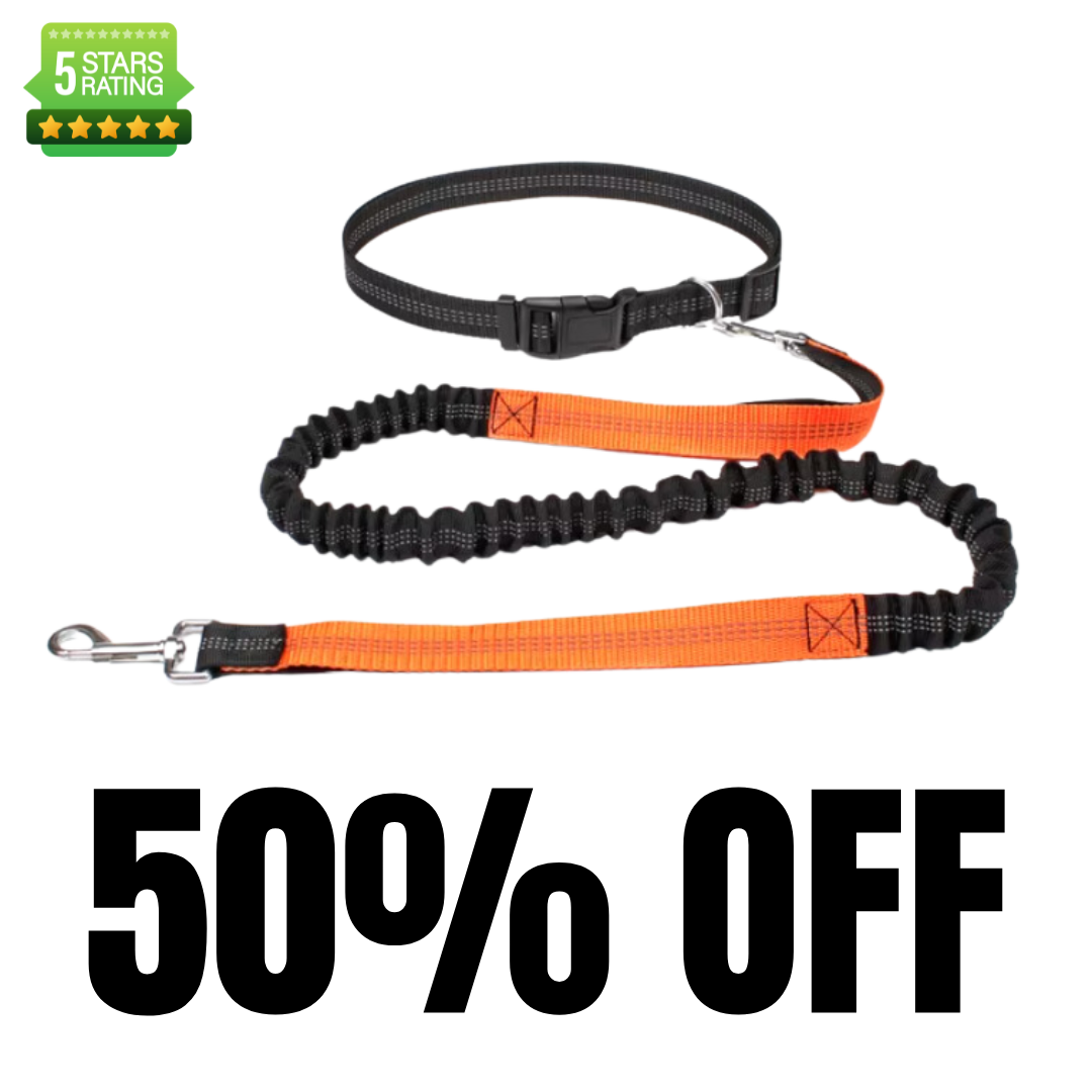 Hands Free Running Lead