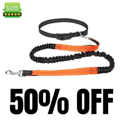 Hands Free Running Lead