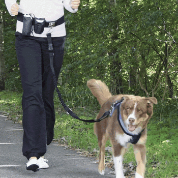 Hands Free Running Lead